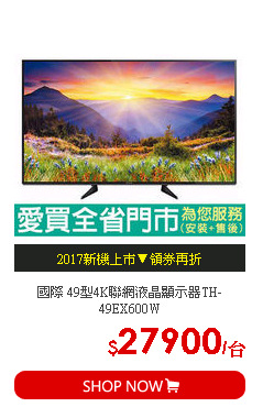 國際 49型4K聯網液晶顯示器TH-49EX600W