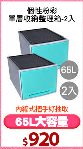 個性粉彩
單層收納整理箱-2入