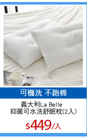 義大利La Belle  
抑菌可水洗舒眠枕(2入)