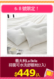 義大利La Belle  
抑菌可水洗舒眠枕(2入)