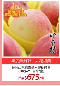 拉拉山現採直送水蜜桃禮盒
(10粒//2.5台斤/盒)