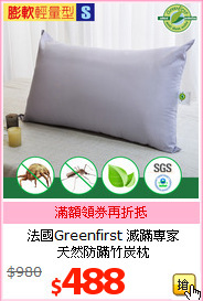 法國Greenfirst 滅蹣專家<br>天然防蹣竹炭枕
