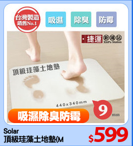 Solar
頂級珪藻土地墊(M)