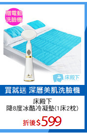 床殿下
降8度冰酷冷凝墊(1床2枕)