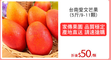 台南愛文芒果
(5斤/9-11顆)