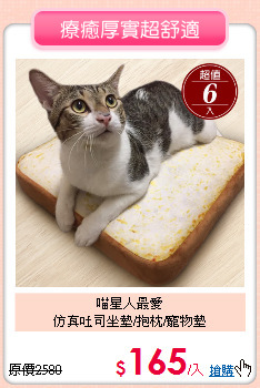 喵星人最愛<BR>
仿真吐司坐墊/抱枕/寵物墊