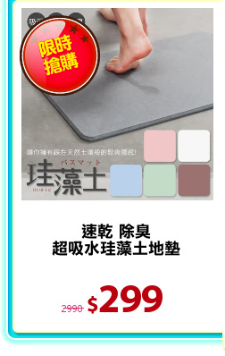 速乾 除臭
超吸水珪藻土地墊