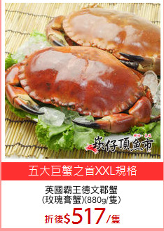英國霸王德文郡蟹
(玫瑰膏蟹)(880g/隻)