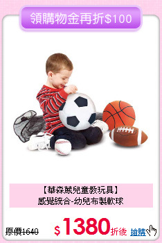 【華森葳兒童教玩具】<br>感覺統合-幼兒布製軟球