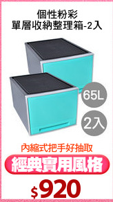 個性粉彩
單層收納整理箱-2入