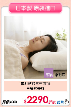 專利微粒素材添加<BR>王樣的夢枕