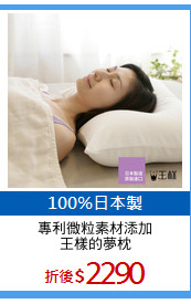 專利微粒素材添加
王樣的夢枕