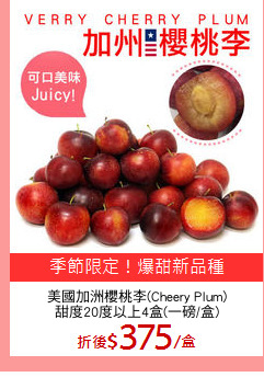 美國加洲櫻桃李(Cheery Plum)
甜度20度以上4盒(一磅/盒)