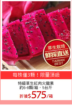 特級草生紅肉火龍果
約6~8顆/箱，5台斤