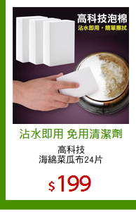 高科技
海綿菜瓜布24片