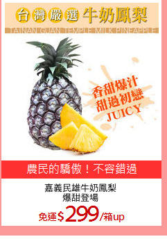 嘉義民雄牛奶鳳梨
爆甜登場