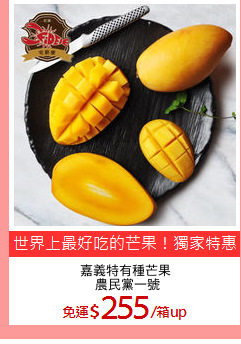 嘉義特有種芒果
 農民黨一號