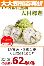 LV等級巨無霸台東<BR>大目釋迦 10台斤