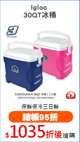 Igloo 
30QT冰桶