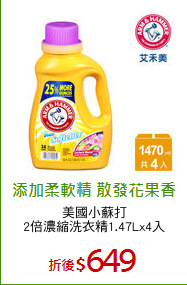 美國小蘇打
2倍濃縮洗衣精1.47Lx4入