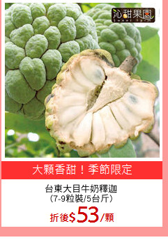 台東大目牛奶釋迦
(7-9粒裝/5台斤)