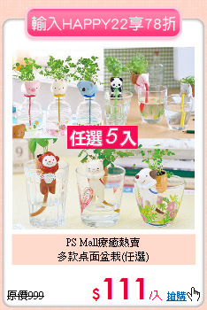 PS Mall療癒熱賣<BR>多款桌面盆栽(任選)