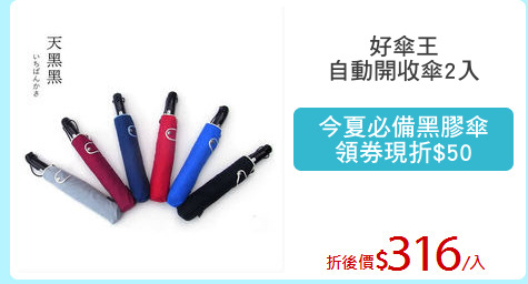 好傘王
自動開收傘2入