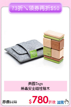 美國Tegu<br>無毒安全磁性積木