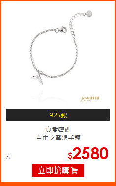 真愛密碼<br>
自由之翼銀手鍊