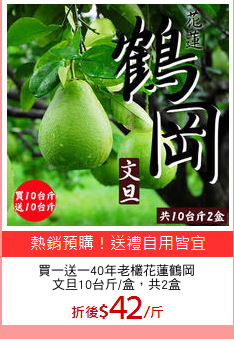 買一送一40年老欉花蓮鶴岡
文旦10台斤/盒，共2盒