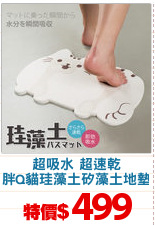 超吸水 超速乾
胖Q貓珪藻土矽藻土地墊