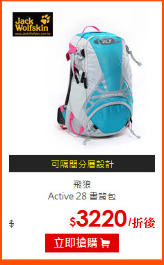 飛狼 <br>
Active 28 書背包