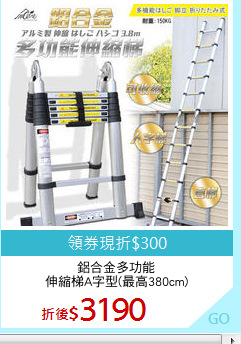 鋁合金多功能
伸縮梯A字型(最高380cm)