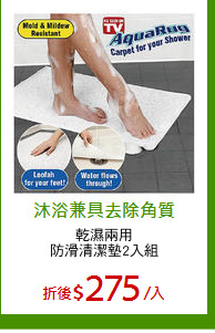 乾濕兩用
防滑清潔墊2入組