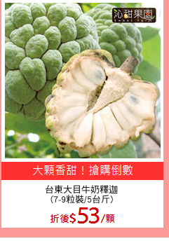 台東大目牛奶釋迦
(7-9粒裝/5台斤)