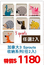 加拿大3 Sprouts
收納系列(任2入)