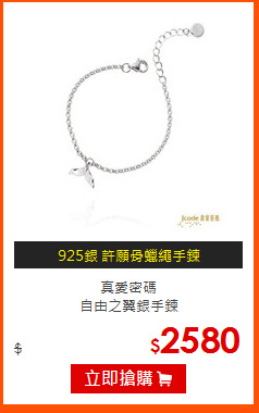 真愛密碼<br>
自由之翼銀手鍊