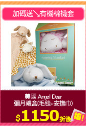 美國 Angel Dear
彌月禮盒(毛毯+安撫巾)