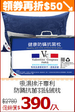 吸濕排汗專利<BR>防蹣抗菌羽絲絨枕