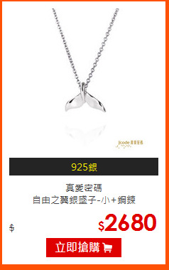 真愛密碼<br>
自由之翼銀墜子-小+鋼鍊