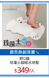 胖Q貓
珪藻土超吸水地墊