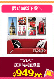 TROMSO 
居家時尚無框畫