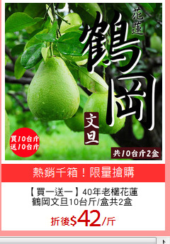 【買一送一】40年老欉花蓮
鶴岡文旦10台斤/盒共2盒