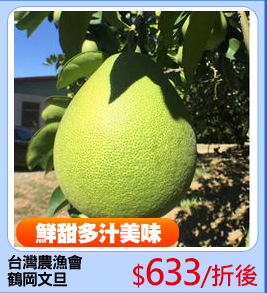 台灣農漁會
鶴岡文旦
