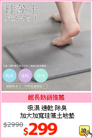 吸濕 速乾 除臭<br>加大加寬珪藻土地墊