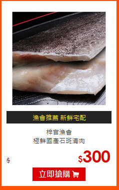 梓官漁會<BR>
極鮮國產石斑清肉