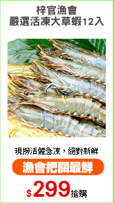 梓官漁會
嚴選活凍大草蝦12入