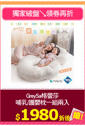 GreySa格蕾莎
哺乳/護嬰枕一組兩入