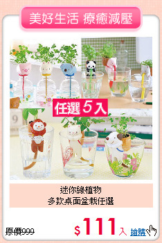 迷你綠植物<BR>
多款桌面盆栽任選