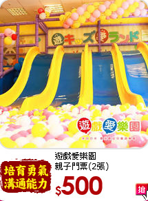 遊戲愛樂園<br>
親子門票(2張)